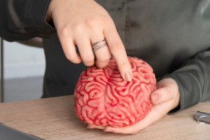 Avaliação Neuropsicológica